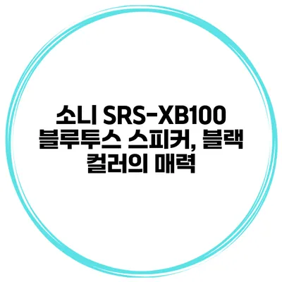 소니 SRS-XB100 블루투스 스피커, 블랙 컬러의 매력