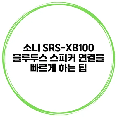 소니 SRS-XB100 블루투스 스피커 연결을 빠르게 하는 팁