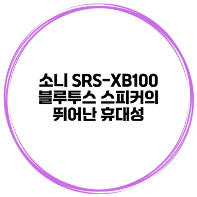 소니 SRS-XB100 블루투스 스피커의 뛰어난 휴대성