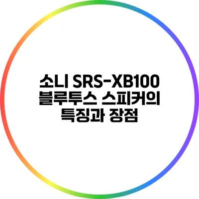 소니 SRS-XB100 블루투스 스피커의 특징과 장점