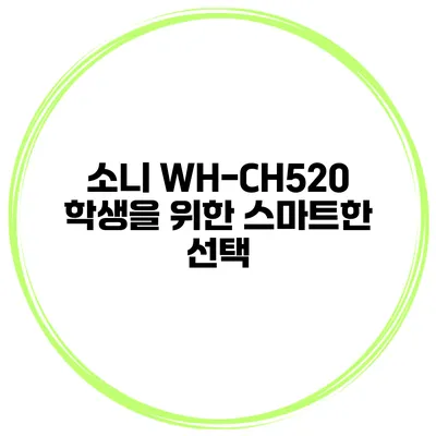 소니 WH-CH520 학생을 위한 스마트한 선택