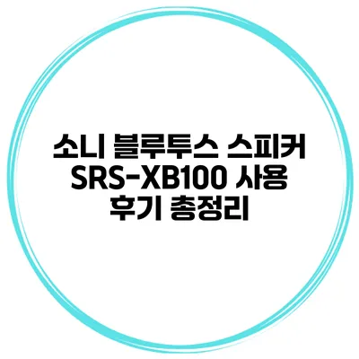 소니 블루투스 스피커 SRS-XB100 사용 후기 총정리