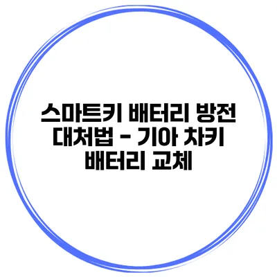 스마트키 배터리 방전 대처법 - 기아 차키 배터리 교체