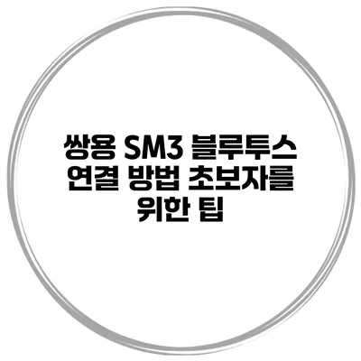 쌍용 SM3 블루투스 연결 방법 초보자를 위한 팁