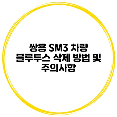 쌍용 SM3 차량 블루투스 삭제 방법 및 주의사항